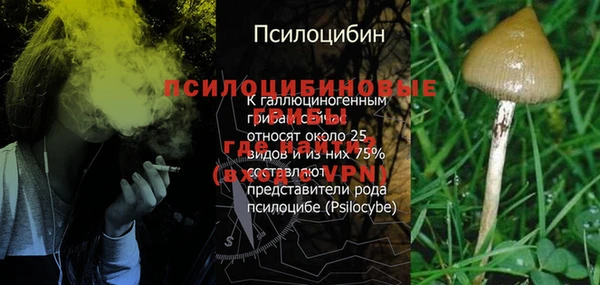меф Алексин