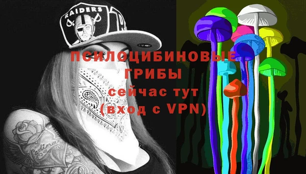 меф Алексин