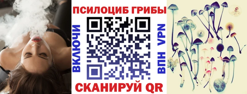 купить   Коркино  Галлюциногенные грибы Cubensis 